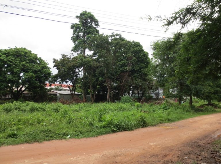 Land for Sale (1)