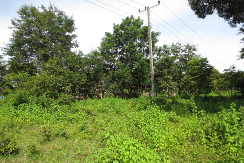 Land for Sale (1)