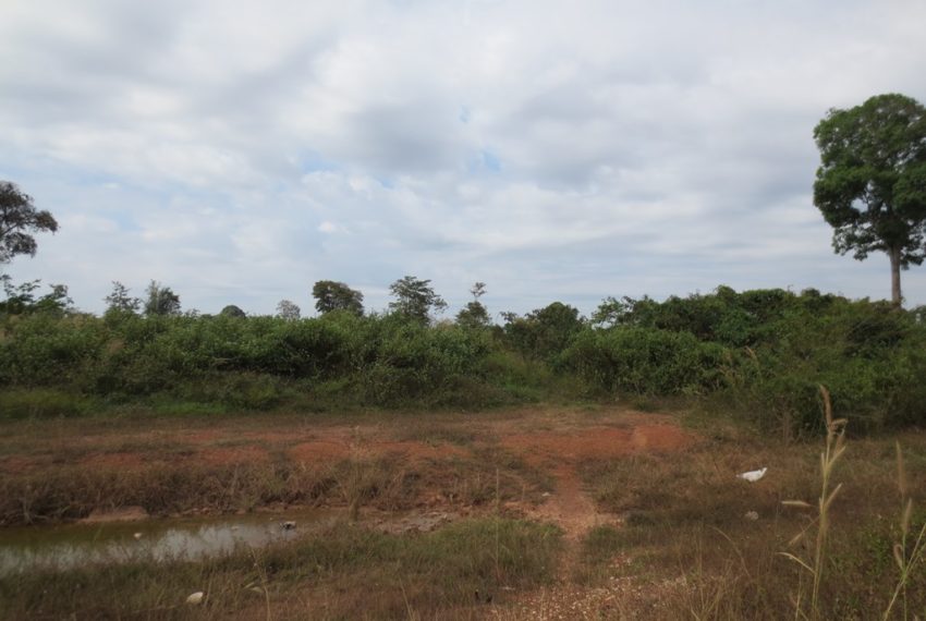 Land for Sale (10)