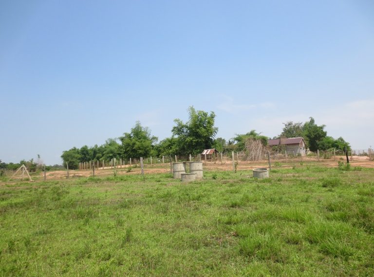 Land for Sale  (10)