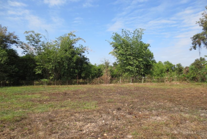 Land for Sale (11)