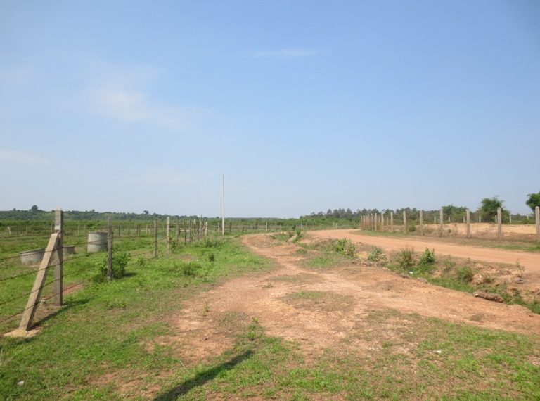 Land for Sale  (13)