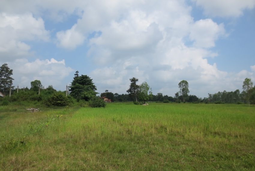 Land for Sale (14)