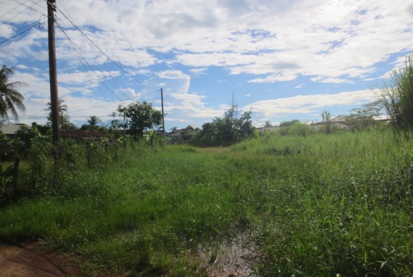 Land for Sale (2)