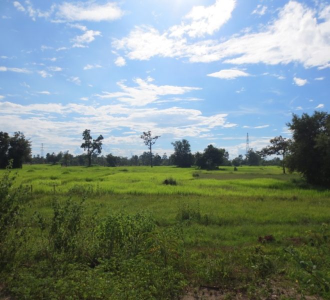 Land for Sale (2)