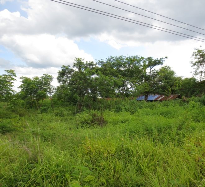 Land for Sale (2)