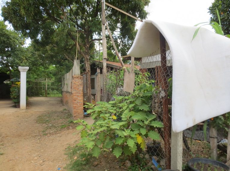 Land for Sale (2)