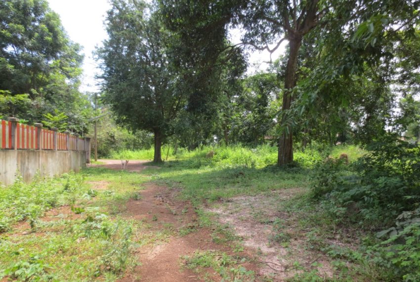 Land for Sale (2)