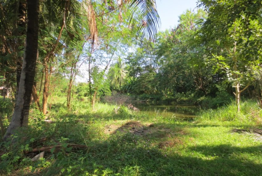 Land for Sale (2)