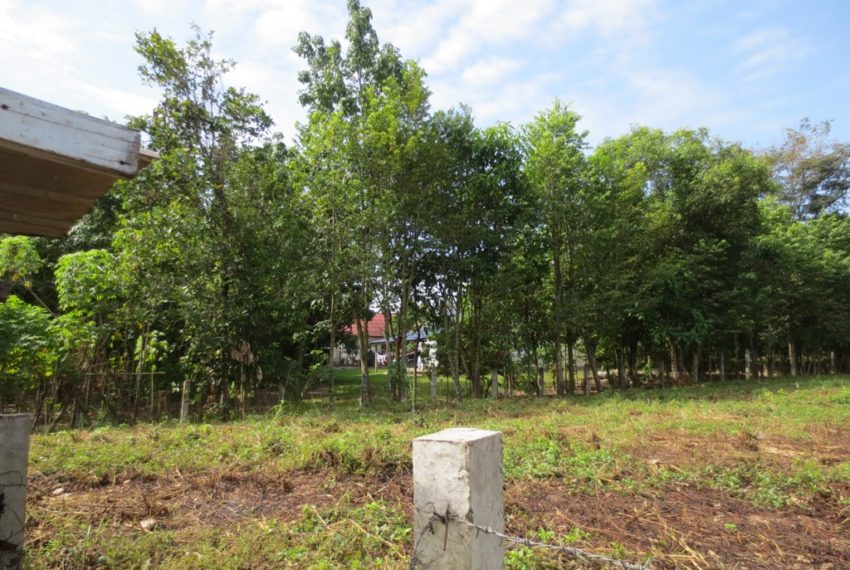 Land for Sale (2)