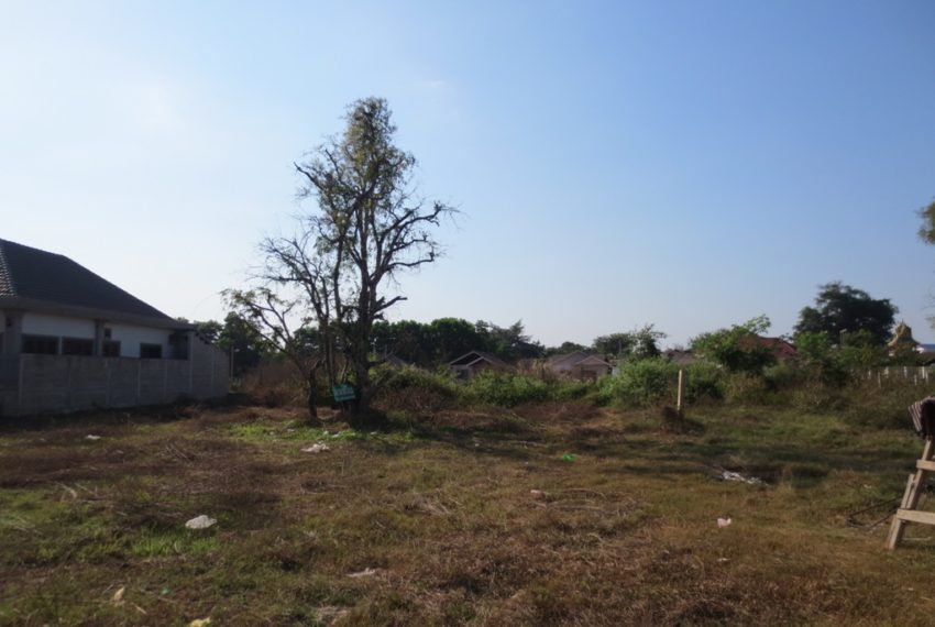 Land for Sale (2)