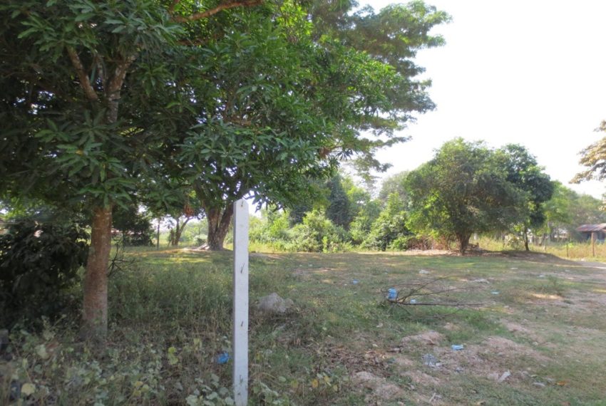 Land for Sale (2)