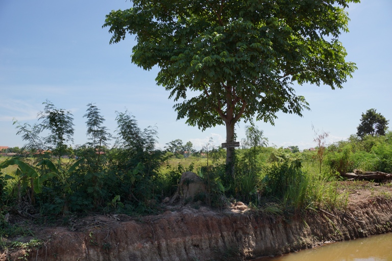 Land for Sale (2)