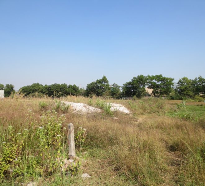 Land for Sale (2)