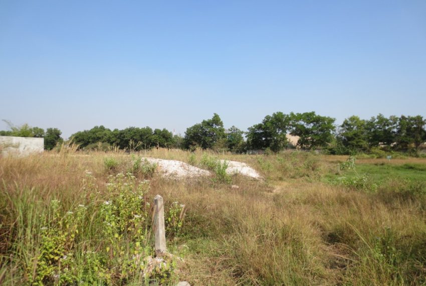 Land for Sale (2)