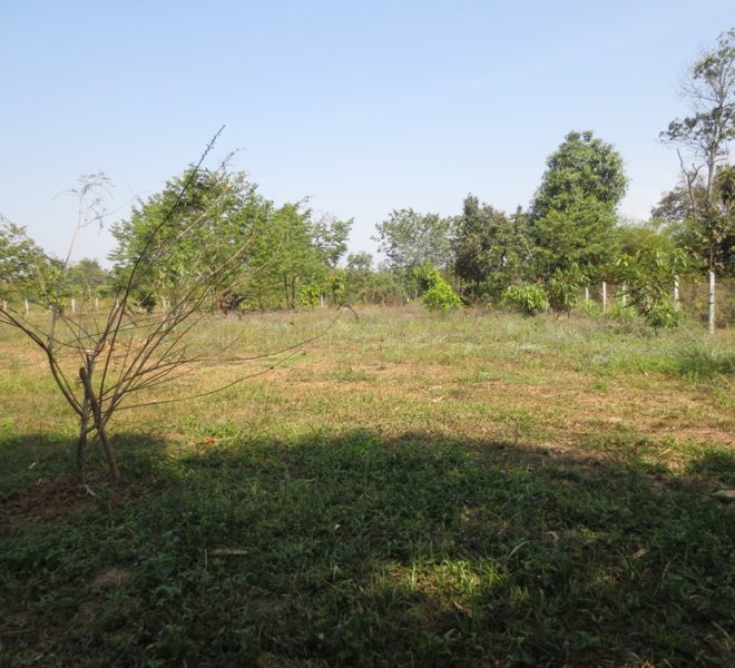 Land for Sale (2)