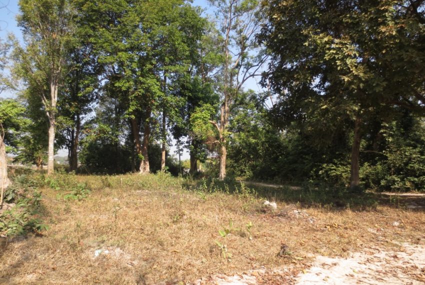 Land for Sale (2)