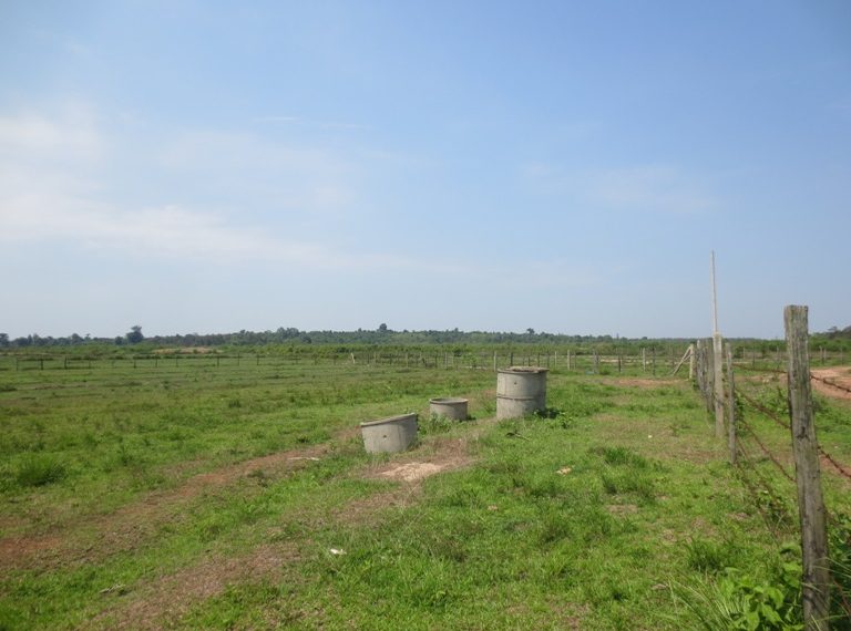 Land for Sale  (2)