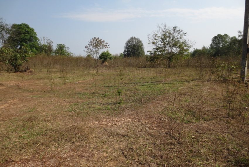 Land for Sale (2)