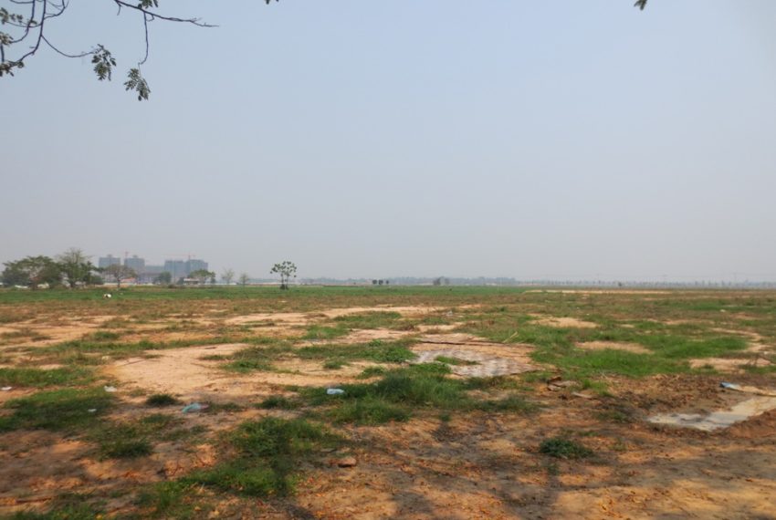 Land for Sale (2)