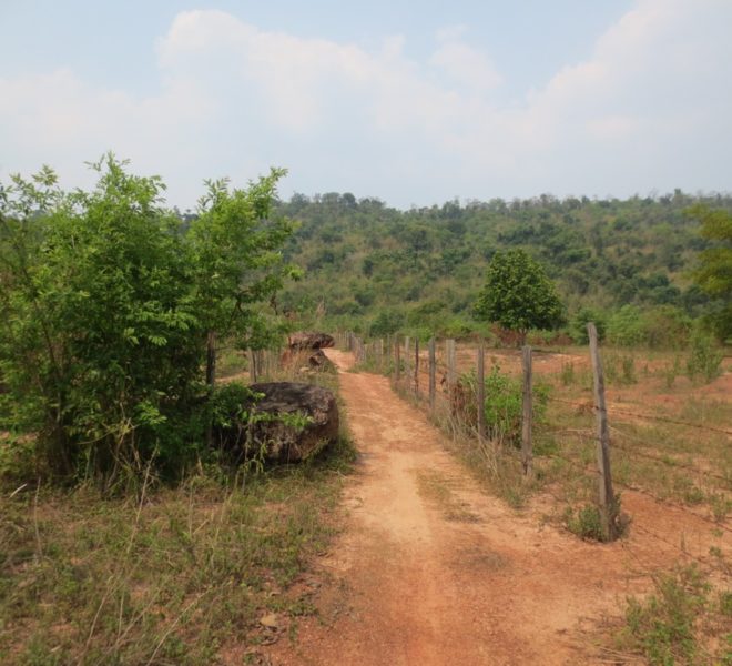 Land for Sale (2)