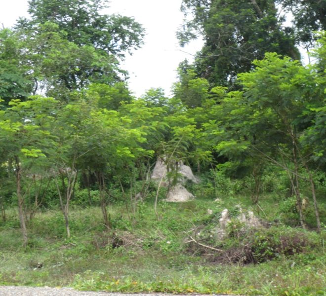 Land for Sale (2)