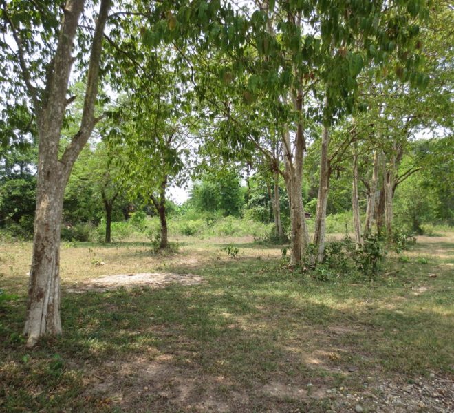 Land for Sale (2)