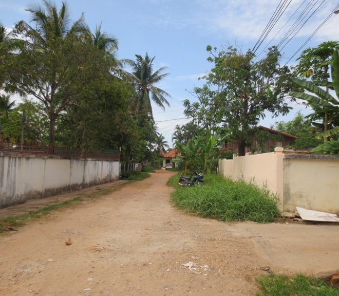 Land for Sale (2)