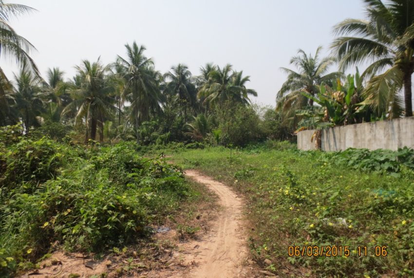 Land for Sale (2)