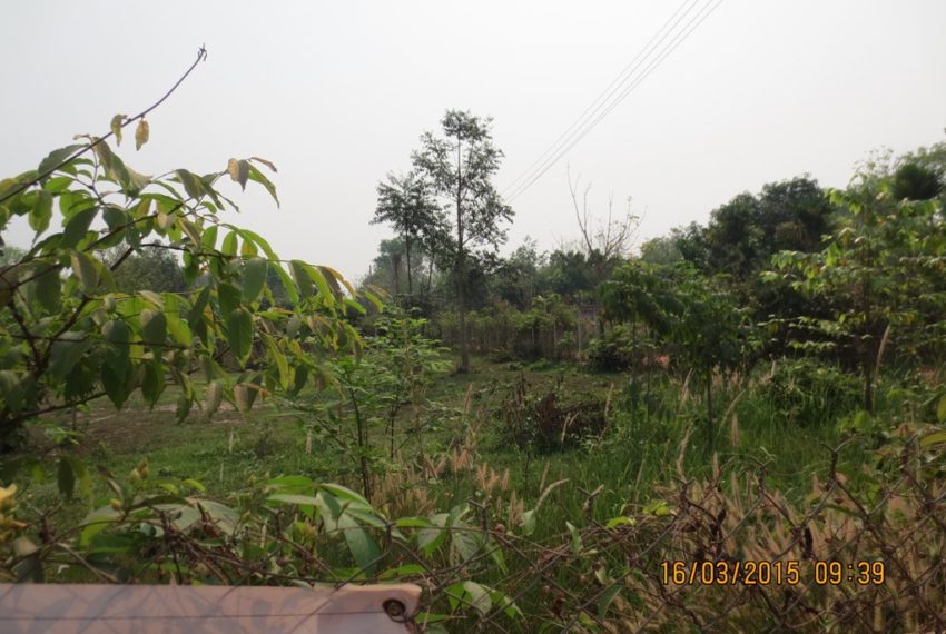 Land for Sale (2)