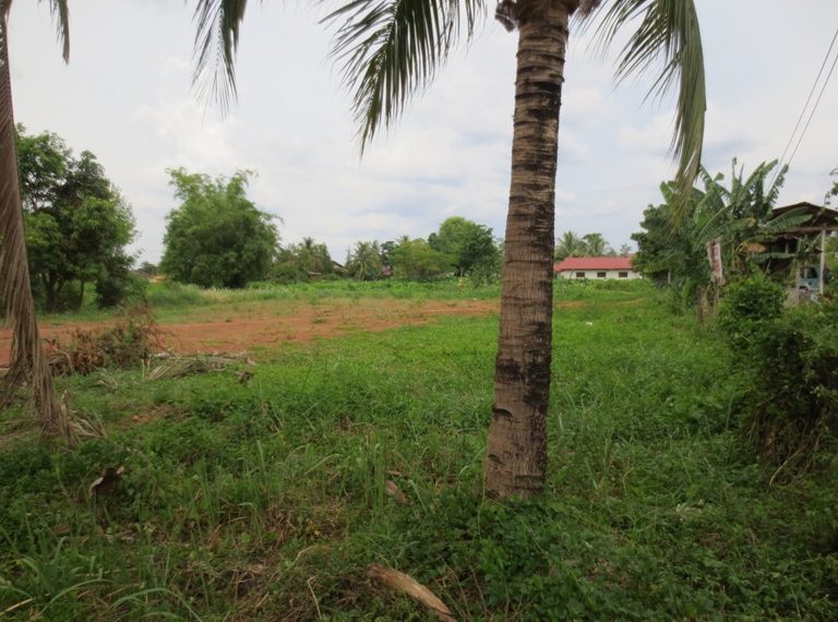 Land for Sale (2)