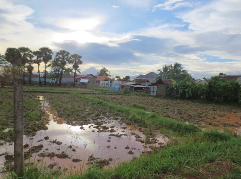 Land for Sale (2)