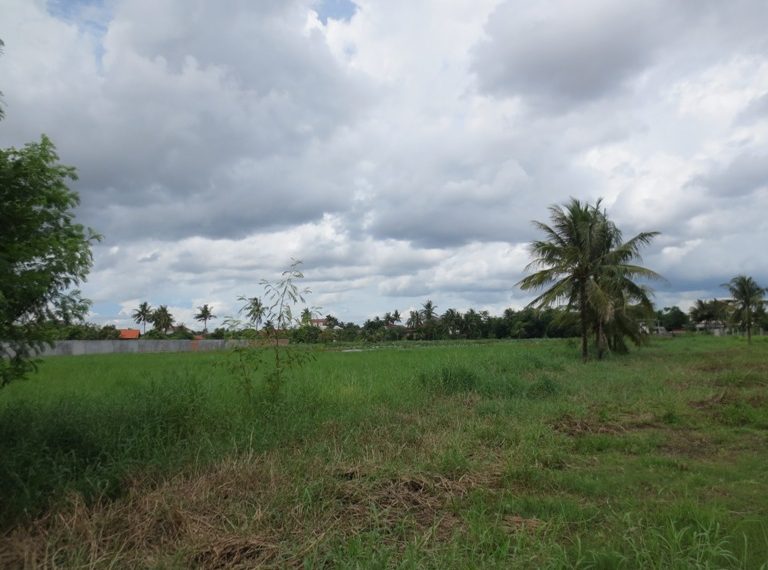 Land for Sale (2)