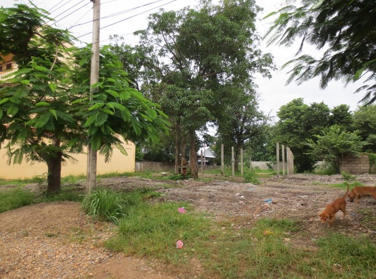 Land for Sale (2)