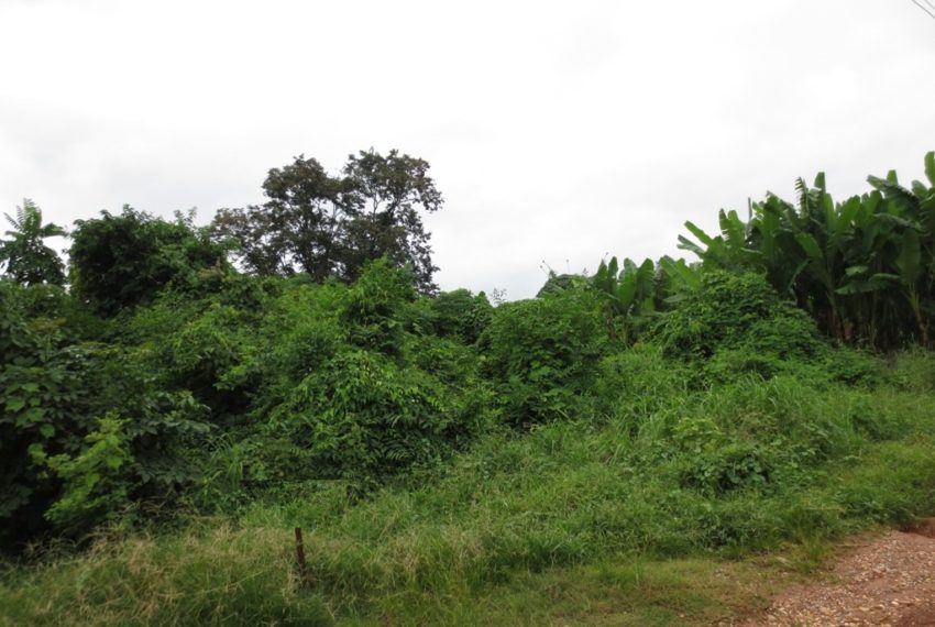 Land for Sale (3)