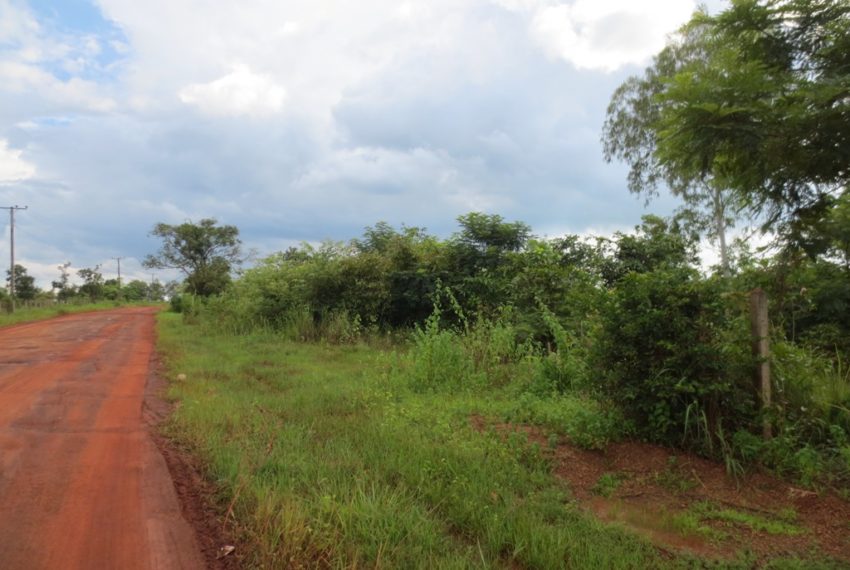 Land for Sale (3)