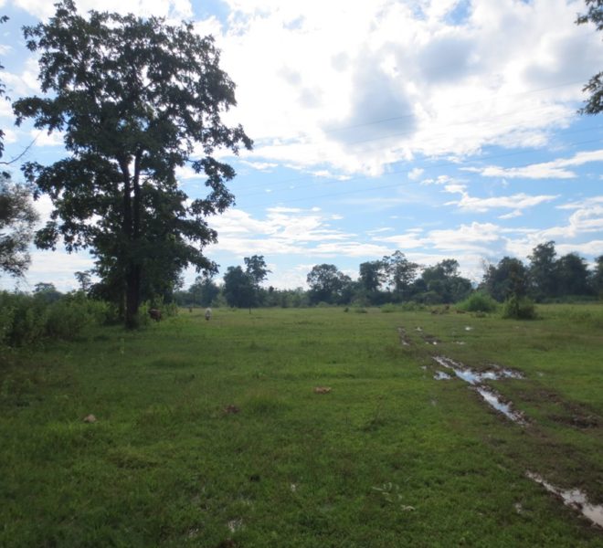 Land for Sale (3)