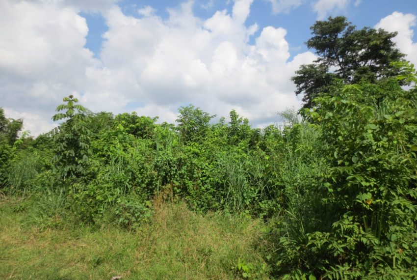 Land for Sale (3)