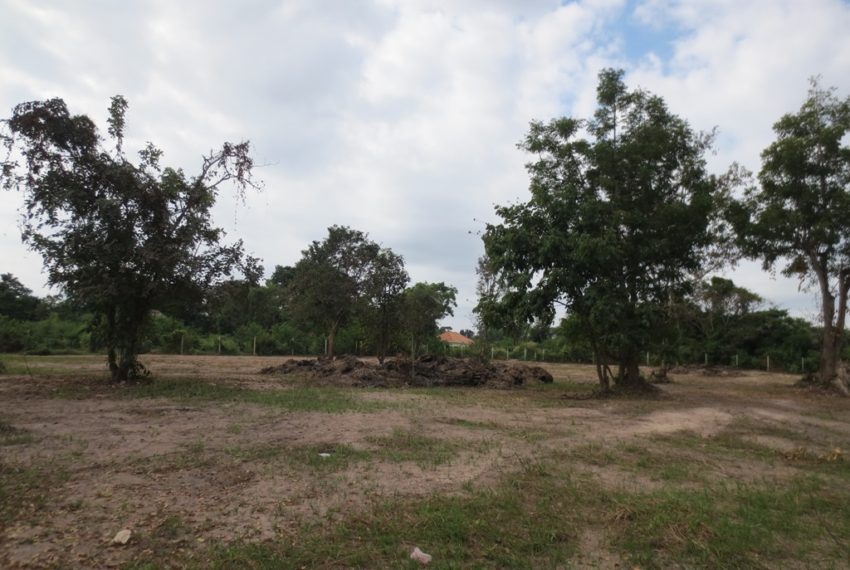 Land for Sale (3)