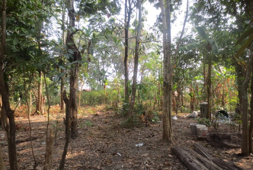 Land for Sale (3)