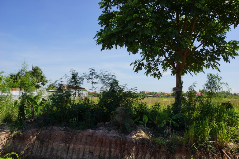 Land for Sale (3)