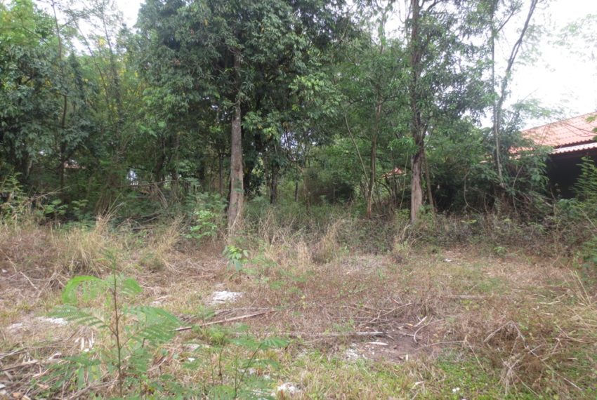 Land for Sale (3)