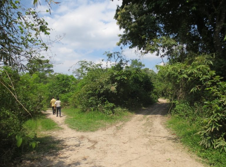 Land for Sale  (3)
