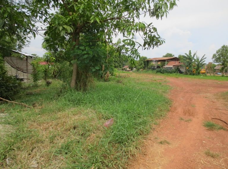 Land for Sale (3)