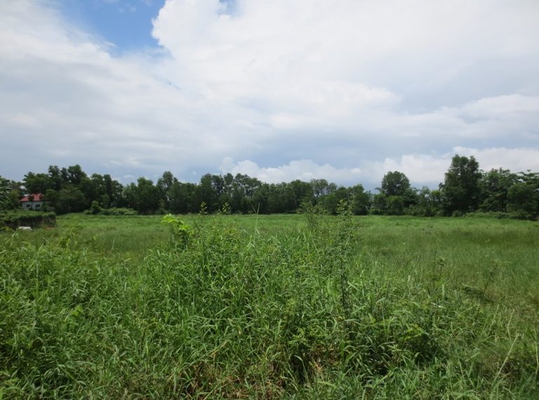 Land for Sale (3)