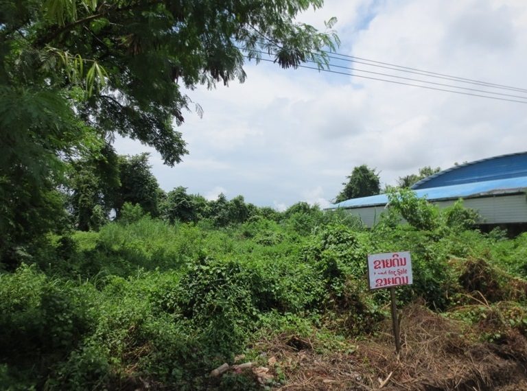 Land for Sale (3)