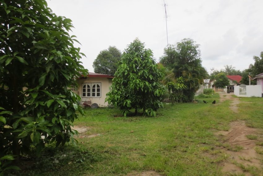 Land for Sale (3)