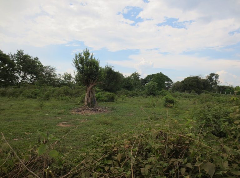 Land for Sale  (4)