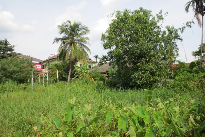 Land for Sale (4)