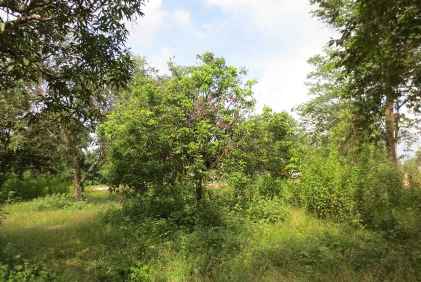 Land for Sale (4)